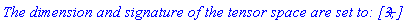 `The dimension and signature of the tensor space are set to: [3, +] `