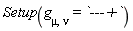 Setup(g[mu, nu] = `---+`)