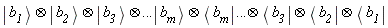 "Ket(a[`1`])&otimes; Ket(a[`2`])&otimes; Ket(a[`3`])&otimes;... Ket(a[n]) &otimes;Bra(a[n]) ...&otimes;Bra(a[`3`]) &otimes;Bra(a[`2`]) &otimes;Bra(a[`1`])"