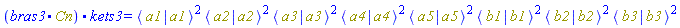Physics:-`.`(bras3, Cn, kets3) = Physics:-Bracket(Physics:-Bra(a1), Physics:-Ket(a1))^2*Physics:-Bracket(Physics:-Bra(a2), Physics:-Ket(a2))^2*Physics:-Bracket(Physics:-Bra(a3), Physics:-Ket(a3))^2*Physics:-Bracket(Physics:-Bra(a4), Physics:-Ket(a4))^2*Physics:-Bracket(Physics:-Bra(a5), Physics:-Ket(a5))^2*Physics:-Bracket(Physics:-Bra(b1), Physics:-Ket(b1))^2*Physics:-Bracket(Physics:-Bra(b2), Physics:-Ket(b2))^2*Physics:-Bracket(Physics:-Bra(b3), Physics:-Ket(b3))^2