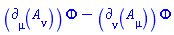 Physics:-d_[mu](A[nu](X), [X])*Phi(X)-Physics:-d_[nu](A[mu](X), [X])*Phi(X)