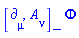Physics:-`*`(Physics:-Commutator(Physics:-d_[mu], A[nu](X)), Phi(X))