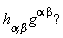 "`h__alpha,beta` g^(alpha beta)?"