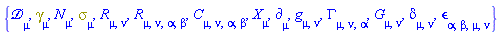 {Physics:-D_[mu], Physics:-Dgamma[mu], N[mu], Physics:-Psigma[mu], Physics:-Ricci[mu, nu], Physics:-Riemann[mu, nu, alpha, beta], Physics:-Weyl[mu, nu, alpha, beta], Physics:-d_[mu], Physics:-g_[mu, nu], Physics:-Christoffel[mu, nu, alpha], Physics:-Einstein[mu, nu], Physics:-KroneckerDelta[mu, nu], Physics:-LeviCivita[alpha, beta, mu, nu], Physics:-SpaceTimeVector[mu](X)}