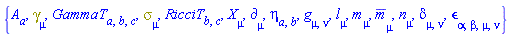 {A[a], Physics:-Dgamma[mu], GammaT[a, b, c], Physics:-Psigma[mu], RicciT[b, c], Physics:-d_[mu], Physics:-Tetrads:-eta_[a, b], Physics:-g_[mu, nu], Physics:-Tetrads:-l_[mu], Physics:-Tetrads:-m_[mu], Physics:-Tetrads:-mb_[mu], Physics:-Tetrads:-n_[mu], Physics:-KroneckerDelta[mu, nu], Physics:-LeviCivita[alpha, beta, mu, nu], Physics:-SpaceTimeVector[mu](X)}