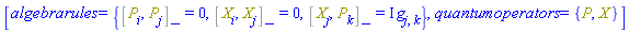 [algebrarules = {%Commutator(P[i], P[j]) = 0, %Commutator(X[i], X[j]) = 0, %Commutator(X[j], P[k]) = I*Physics:-g_[j, k]}, quantumoperators = {P, X}]