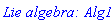 `Lie algebra: Alg1`