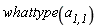 whattype(`a__1,1`)