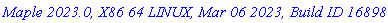 `Maple 2023.0, X86 64 LINUX, Mar 06 2023, Build ID 1689885`