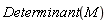 LinearAlgebra:-Determinant(M)