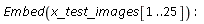Embed(x_test_images[1 .. 25])
