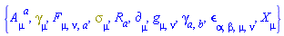 {A[mu, `~a`], Physics:-Dgamma[mu], F[mu, nu, a], Physics:-Psigma[mu], R[a], Physics:-d_[mu], Physics:-g_[mu, nu], Physics:-gamma_[a, b], Physics:-LeviCivita[alpha, beta, mu, nu], Physics:-SpaceTimeVector[mu](X)}
