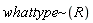 `~`[whattype](R)
