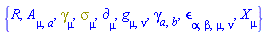{R, A[mu, a], Physics:-Dgamma[mu], Physics:-Psigma[mu], Physics:-d_[mu], Physics:-g_[mu, nu], Physics:-gamma_[a, b], Physics:-LeviCivita[alpha, beta, mu, nu], Physics:-SpaceTimeVector[mu](X)}