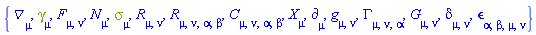 {Physics:-D_[mu], Physics:-Dgamma[mu], F[mu, nu], N[mu], Physics:-Psigma[mu], Physics:-Ricci[mu, nu], Physics:-Riemann[mu, nu, alpha, beta], Physics:-Weyl[mu, nu, alpha, beta], Physics:-d_[mu], Physics:-g_[mu, nu], Physics:-Christoffel[mu, nu, alpha], Physics:-Einstein[mu, nu], Physics:-KroneckerDelta[mu, nu], Physics:-LeviCivita[alpha, beta, mu, nu], Physics:-SpaceTimeVector[mu](X)}