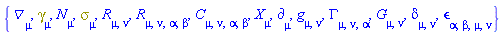 {Physics:-D_[mu], Physics:-Dgamma[mu], N[mu], Physics:-Psigma[mu], Physics:-Ricci[mu, nu], Physics:-Riemann[mu, nu, alpha, beta], Physics:-Weyl[mu, nu, alpha, beta], Physics:-d_[mu], Physics:-g_[mu, nu], Physics:-Christoffel[mu, nu, alpha], Physics:-Einstein[mu, nu], Physics:-KroneckerDelta[mu, nu], Physics:-LeviCivita[alpha, beta, mu, nu], Physics:-SpaceTimeVector[mu](X)}