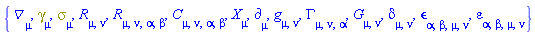 {Physics:-D_[mu], Physics:-Dgamma[mu], Physics:-Psigma[mu], Physics:-Ricci[mu, nu], Physics:-Riemann[mu, nu, alpha, beta], Physics:-Weyl[mu, nu, alpha, beta], Physics:-d_[mu], Physics:-g_[mu, nu], Physics:-Christoffel[mu, nu, alpha], Physics:-Einstein[mu, nu], Physics:-KroneckerDelta[mu, nu], Physics:-LeviCivita[alpha, beta, mu, nu], varepsilon[alpha, beta, mu, nu], Physics:-SpaceTimeVector[mu](X)}