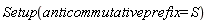 Setup(anticommutativeprefix = S)