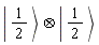 `&otimes;`(Ket(S__1, 1/2), Ket(S__2, 1/2))