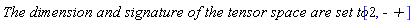 `The dimension and signature of the tensor space are set to: `[2, -` +`]