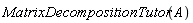 MatrixDecompositionTutor(A)