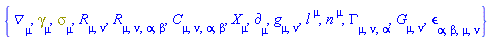 {Physics:-D_[mu], Physics:-Dgamma[mu], Physics:-Psigma[mu], Physics:-Ricci[mu, nu], Physics:-Riemann[mu, nu, alpha, beta], Physics:-Weyl[mu, nu, alpha, beta], Physics:-d_[mu], Physics:-g_[mu, nu], l[`~mu`], n[`~mu`], Physics:-Christoffel[mu, nu, alpha], Physics:-Einstein[mu, nu], Physics:-LeviCivita[alpha, beta, mu, nu], Physics:-SpaceTimeVector[mu](X)}