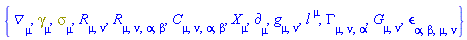 {Physics:-D_[mu], Physics:-Dgamma[mu], Physics:-Psigma[mu], Physics:-Ricci[mu, nu], Physics:-Riemann[mu, nu, alpha, beta], Physics:-Weyl[mu, nu, alpha, beta], Physics:-d_[mu], Physics:-g_[mu, nu], l[`~mu`], Physics:-Christoffel[mu, nu, alpha], Physics:-Einstein[mu, nu], Physics:-LeviCivita[alpha, beta, mu, nu], Physics:-SpaceTimeVector[mu](X)}