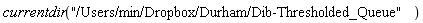 currentdir("/Users/min/Dropbox/Durham/Dib-Thresholded_Queue")