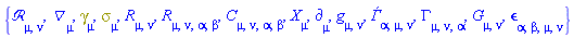 {`&Rscr;`[mu, nu], Physics:-D_[mu], Physics:-Dgamma[mu], Physics:-Psigma[mu], Physics:-Ricci[mu, nu], Physics:-Riemann[mu, nu, alpha, beta], Physics:-Weyl[mu, nu, alpha, beta], Physics:-d_[mu], Physics:-g_[mu, nu], Ðƒ[alpha, mu, nu], Physics:-Christoffel[mu, nu, alpha], Physics:-Einstein[mu, nu], Physics:-LeviCivita[alpha, beta, mu, nu], Physics:-SpaceTimeVector[mu](X)}