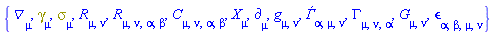 {Physics:-D_[mu], Physics:-Dgamma[mu], Physics:-Psigma[mu], Physics:-Ricci[mu, nu], Physics:-Riemann[mu, nu, alpha, beta], Physics:-Weyl[mu, nu, alpha, beta], Physics:-d_[mu], Physics:-g_[mu, nu], Ðƒ[alpha, mu, nu], Physics:-Christoffel[mu, nu, alpha], Physics:-Einstein[mu, nu], Physics:-LeviCivita[alpha, beta, mu, nu], Physics:-SpaceTimeVector[mu](X)}