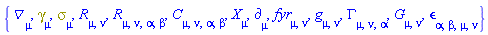 {Physics:-D_[mu], Physics:-Dgamma[mu], Physics:-Psigma[mu], Physics:-Ricci[mu, nu], Physics:-Riemann[mu, nu, alpha, beta], Physics:-Weyl[mu, nu, alpha, beta], Physics:-d_[mu], fyr[mu, nu], Physics:-g_[mu, nu], Physics:-Christoffel[mu, nu, alpha], Physics:-Einstein[mu, nu], Physics:-LeviCivita[alpha, beta, mu, nu], Physics:-SpaceTimeVector[mu](X)}