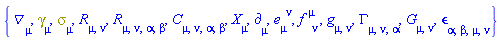 {Physics:-D_[mu], Physics:-Dgamma[mu], Physics:-Psigma[mu], Physics:-Ricci[mu, nu], Physics:-Riemann[mu, nu, alpha, beta], Physics:-Weyl[mu, nu, alpha, beta], Physics:-d_[mu], e[mu, `~nu`], f[`~mu`, nu], Physics:-g_[mu, nu], Physics:-Christoffel[mu, nu, alpha], Physics:-Einstein[mu, nu], Physics:-LeviCivita[alpha, beta, mu, nu], Physics:-SpaceTimeVector[mu](X)}