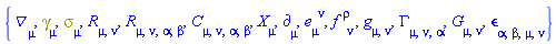 {Physics:-D_[mu], Physics:-Dgamma[mu], Physics:-Psigma[mu], Physics:-Ricci[mu, nu], Physics:-Riemann[mu, nu, alpha, beta], Physics:-Weyl[mu, nu, alpha, beta], Physics:-d_[mu], e[mu, `~nu`], f[`~rho`, nu], Physics:-g_[mu, nu], Physics:-Christoffel[mu, nu, alpha], Physics:-Einstein[mu, nu], Physics:-LeviCivita[alpha, beta, mu, nu], Physics:-SpaceTimeVector[mu](X)}
