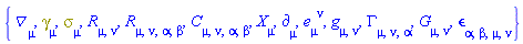 {Physics:-D_[mu], Physics:-Dgamma[mu], Physics:-Psigma[mu], Physics:-Ricci[mu, nu], Physics:-Riemann[mu, nu, alpha, beta], Physics:-Weyl[mu, nu, alpha, beta], Physics:-d_[mu], e[mu, `~nu`], Physics:-g_[mu, nu], Physics:-Christoffel[mu, nu, alpha], Physics:-Einstein[mu, nu], Physics:-LeviCivita[alpha, beta, mu, nu], Physics:-SpaceTimeVector[mu](X)}