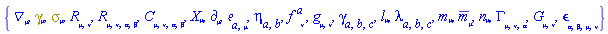 {Physics:-D_[mu], Physics:-Dgamma[mu], Physics:-Psigma[mu], Physics:-Ricci[mu, nu], Physics:-Riemann[mu, nu, alpha, beta], Physics:-Weyl[mu, nu, alpha, beta], Physics:-d_[mu], Physics:-Tetrads:-e_[a, mu], Physics:-Tetrads:-eta_[a, b], f[`~a`, nu], Physics:-g_[mu, nu], Physics:-Tetrads:-gamma_[a, b, c], Physics:-Tetrads:-l_[mu], Physics:-Tetrads:-lambda_[a, b, c], Physics:-Tetrads:-m_[mu], Physics:-Tetrads:-mb_[mu], Physics:-Tetrads:-n_[mu], Physics:-Christoffel[mu, nu, alpha], Physics:-Einstein[mu, nu], Physics:-LeviCivita[alpha, beta, mu, nu], Physics:-SpaceTimeVector[mu](X)}