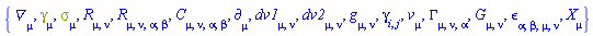 {Physics:-D_[mu], Physics:-Dgamma[mu], Physics:-Psigma[mu], Physics:-Ricci[mu, nu], Physics:-Riemann[mu, nu, alpha, beta], Physics:-Weyl[mu, nu, alpha, beta], Physics:-d_[mu], dv1[mu, nu], dv2[mu, nu], Physics:-g_[mu, nu], Physics:-gamma_[i, j], v[mu], Physics:-Christoffel[mu, nu, alpha], Physics:-Einstein[mu, nu], Physics:-LeviCivita[alpha, beta, mu, nu], Physics:-SpaceTimeVector[mu](X)}