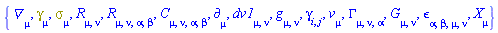 {Physics:-D_[mu], Physics:-Dgamma[mu], Physics:-Psigma[mu], Physics:-Ricci[mu, nu], Physics:-Riemann[mu, nu, alpha, beta], Physics:-Weyl[mu, nu, alpha, beta], Physics:-d_[mu], dv1[mu, nu], Physics:-g_[mu, nu], Physics:-gamma_[i, j], v[mu], Physics:-Christoffel[mu, nu, alpha], Physics:-Einstein[mu, nu], Physics:-LeviCivita[alpha, beta, mu, nu], Physics:-SpaceTimeVector[mu](X)}
