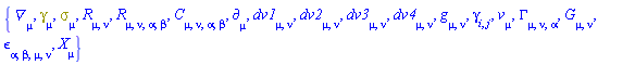 {Physics:-D_[mu], Physics:-Dgamma[mu], Physics:-Psigma[mu], Physics:-Ricci[mu, nu], Physics:-Riemann[mu, nu, alpha, beta], Physics:-Weyl[mu, nu, alpha, beta], Physics:-d_[mu], dv1[mu, nu], dv2[mu, nu], dv3[mu, nu], dv4[mu, nu], Physics:-g_[mu, nu], Physics:-gamma_[i, j], v[mu], Physics:-Christoffel[mu, nu, alpha], Physics:-Einstein[mu, nu], Physics:-LeviCivita[alpha, beta, mu, nu], Physics:-SpaceTimeVector[mu](X)}