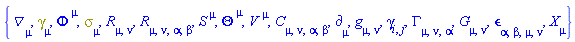 {Physics:-D_[mu], Physics:-Dgamma[mu], Phi[`~mu`], Physics:-Psigma[mu], Physics:-Ricci[mu, nu], Physics:-Riemann[mu, nu, alpha, beta], S[`~mu`], Theta[`~mu`], V[`~mu`], Physics:-Weyl[mu, nu, alpha, beta], Physics:-d_[mu], Physics:-g_[mu, nu], Physics:-gamma_[i, j], Physics:-Christoffel[mu, nu, alpha], Physics:-Einstein[mu, nu], Physics:-LeviCivita[alpha, beta, mu, nu], Physics:-SpaceTimeVector[mu](X)}