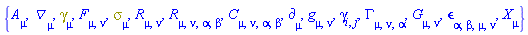 {A[mu], Physics:-D_[mu], Physics:-Dgamma[mu], F[mu, nu], Physics:-Psigma[mu], Physics:-Ricci[mu, nu], Physics:-Riemann[mu, nu, alpha, beta], Physics:-Weyl[mu, nu, alpha, beta], Physics:-d_[mu], Physics:-g_[mu, nu], Physics:-gamma_[i, j], Physics:-Christoffel[mu, nu, alpha], Physics:-Einstein[mu, nu], Physics:-LeviCivita[alpha, beta, mu, nu], Physics:-SpaceTimeVector[mu](X)}