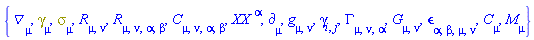 {Physics:-D_[mu], Physics:-Dgamma[mu], Physics:-Psigma[mu], Physics:-Ricci[mu, nu], Physics:-Riemann[mu, nu, alpha, beta], Physics:-Weyl[mu, nu, alpha, beta], XX[`~alpha`], Physics:-d_[mu], Physics:-g_[mu, nu], Physics:-gamma_[i, j], Physics:-Christoffel[mu, nu, alpha], Physics:-Einstein[mu, nu], Physics:-LeviCivita[alpha, beta, mu, nu], Physics:-SpaceTimeVector[mu](C), Physics:-SpaceTimeVector[mu](M)}