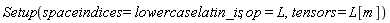 Setup(spaceindices = lowercaselatin_is, op = L, tensors = L[m])