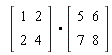(Matrix(2, 2, {(1, 1) = 1, (1, 2) = 2, (2, 1) = 2, (2, 2) = 4})).(Matrix(2, 2, {(1, 1) = 5, (1, 2) = 6, (2, 1) = 7, (2, 2) = 8}))