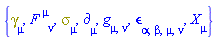 {Physics:-Dgamma[mu], F[`~mu`, nu], Physics:-Psigma[mu], Physics:-d_[mu], Physics:-g_[mu, nu], Physics:-LeviCivita[alpha, beta, mu, nu], Physics:-SpaceTimeVector[mu](X)}