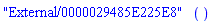 ("External/0000029485E225E8")()
