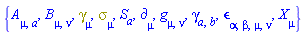 {A[mu, a], B[mu, nu], Physics:-Dgamma[mu], Physics:-Psigma[mu], S[a], Physics:-d_[mu], Physics:-g_[mu, nu], Physics:-gamma_[a, b], Physics:-LeviCivita[alpha, beta, mu, nu], Physics:-SpaceTimeVector[mu](X)}
