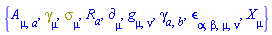 {A[mu, a], Physics:-Dgamma[mu], Physics:-Psigma[mu], R[a], Physics:-d_[mu], Physics:-g_[mu, nu], Physics:-gamma_[a, b], Physics:-LeviCivita[alpha, beta, mu, nu], Physics:-SpaceTimeVector[mu](X)}