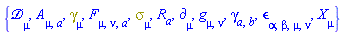 {`&Dscr;`[mu], A[mu, a], Physics:-Dgamma[mu], F[mu, nu, a], Physics:-Psigma[mu], R[a], Physics:-d_[mu], Physics:-g_[mu, nu], Physics:-gamma_[a, b], Physics:-LeviCivita[alpha, beta, mu, nu], Physics:-SpaceTimeVector[mu](X)}