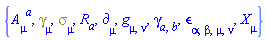 {A[mu, `~a`], Physics:-Dgamma[mu], Physics:-Psigma[mu], R[a], Physics:-d_[mu], Physics:-g_[mu, nu], Physics:-gamma_[a, b], Physics:-LeviCivita[alpha, beta, mu, nu], Physics:-SpaceTimeVector[mu](X)}