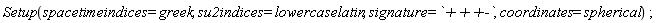 Setup(spacetimeindices = greek, su2indices = lowercaselatin, signature = `+++-`, coordinates = spherical)